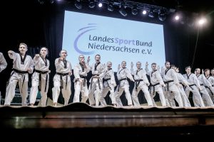 Auftritt beim Tag der Niedersachsen 2017 in Wolfsburg. Foto: Tim Grondstein